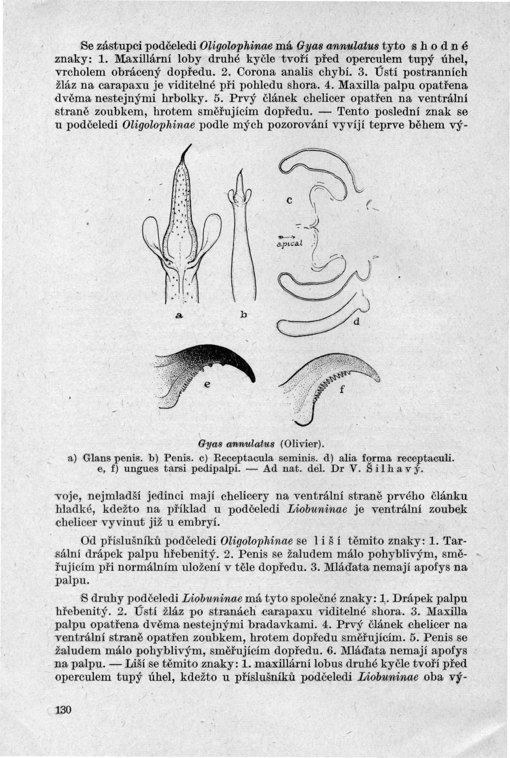 Se zástupci podčeledi Oligolophin{J;e má Gya8 annulatu8 tyto s h o d n é znaky: 1 Maxillární loby druhé kyčle tvoří před operculem tupý úhel vrcholem obrácený dopředu 2 Corona analis 3 ústí