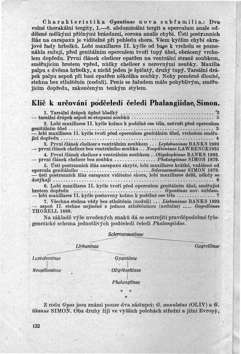 c h a r a k t e r i s t i k a Gyantinae n o v a s u b f a in i i a: Í>va volné thorakální tergity 1-8 abdominální tergiťa operculum anale oddělené mělkými příčnými brázdami éorona analis ústí