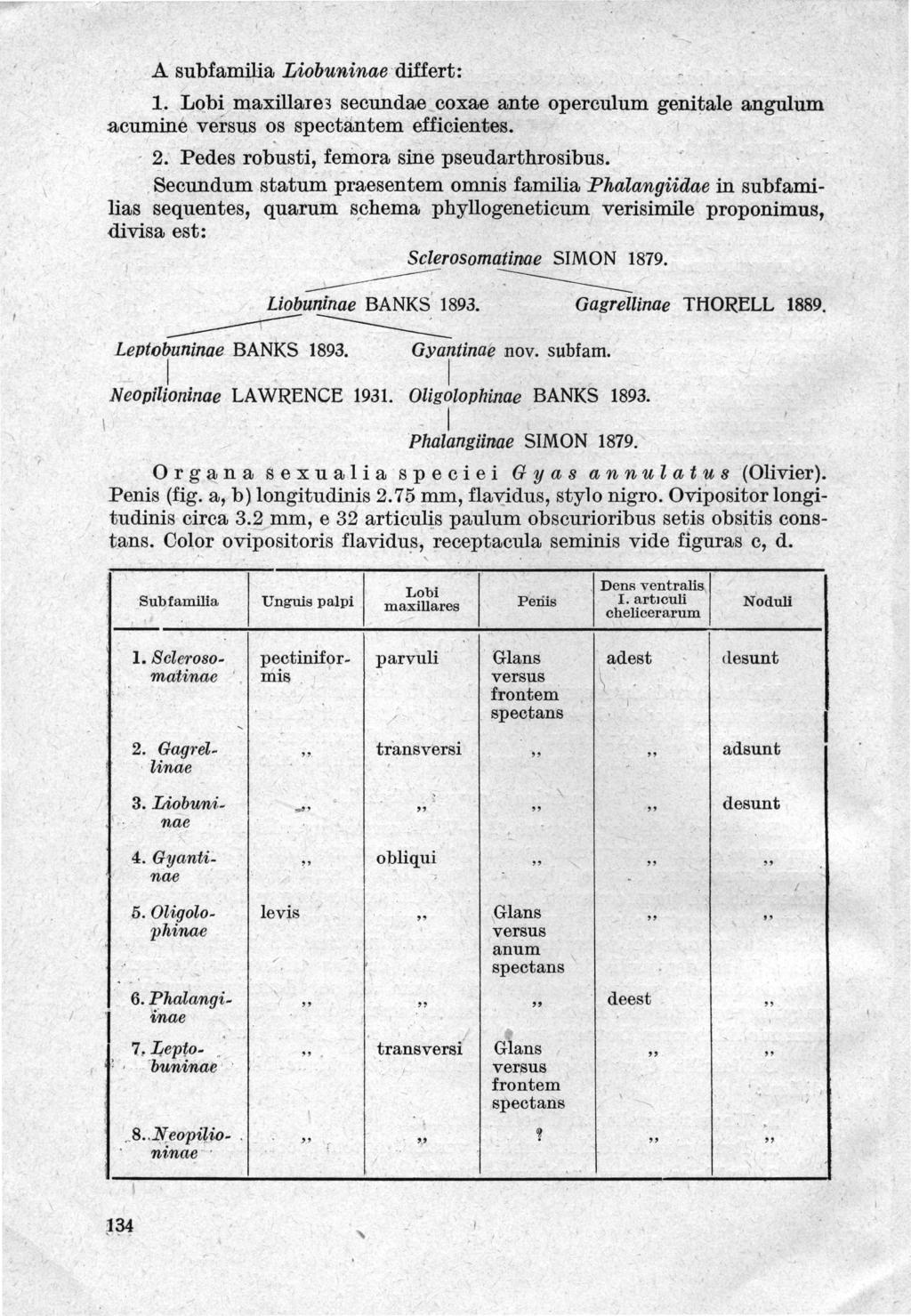 A subfam$a Liobuninae dillert: 1 LQb maxillare3 secundae coxae ante operculum genitale angulům acuminé versus os specti:lntem efficientes - - Pedes robusti fe?