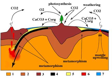 koncentrace CO2 v atmosféře a tím i teplota Nárůst teploty podpoří zvětrávání a tím