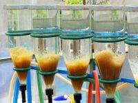 Inkubace Kvalitní voda 5-7mg O2/l Zugské lahve Malachitová zeleň