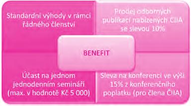 Rada ČIIA provedla rozsáhlou analýzu současných benefitů v porovnání s členskými výhodami vybraných zahraničních institutů.