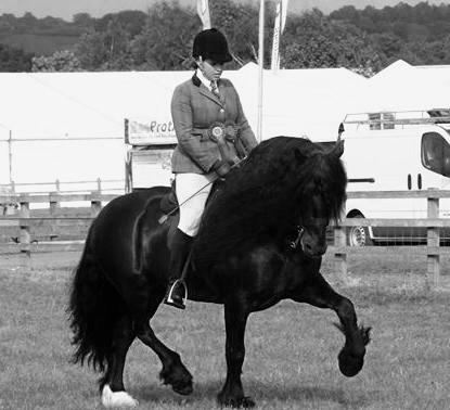 Má akreditaci na posuzování všech Mountain and Moorland plemen, jezdeckých pony, hunter pony, jezdeckých koní, hacks, kobů, barevných pony a koní a WHP tříd. Posuzovala významných výstavách jako např.