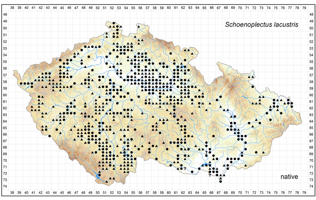 Distribution of Schoenoplectus lacustris in the Czech Republic Author of the map: Jiří Danihelka, Petr Filippov Map produced on: 12-05-2016 Database records used for producing the distribution map of