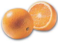 Jablkovo-pomeranãov dïem 700 g oloupan ch jablek zbaven ch jádfiincû 300 g nadrobno nakrájen ch pomeranãû (mûsíãkû) Èáva ze 2 citronû 1 kávová
