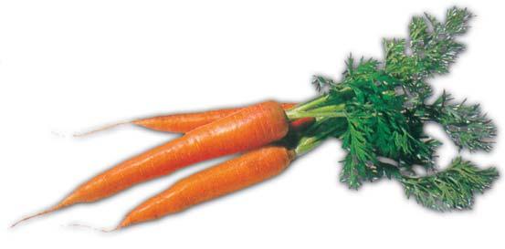 Nastrouhejte 300 g omyté karotky.