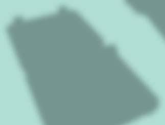 102 47 38 13 3 4 185 195 VE12550 4 300 130 52