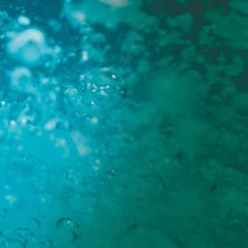 38 Citační indexy 56 04 cenakva Jihočeské výzkumné centrum akvakultury a biodiverzity hydrocenóz