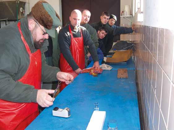 05 náplň činnosti a propagace Pedagogická činnost :: navazující magisterské studium NAVAZUJÍCÍ MAGISTERSKÉ STUDIUM akreditované studijní programy a obory Studijní program (SP) Číslo SP Studijní obor