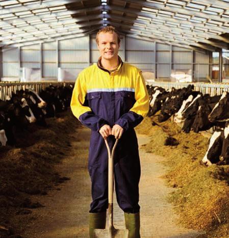 DUOCS je spojení dvou hybridů kukuřice stejné ranosti, které obsahuje dva speciální a doplňující škroby.
