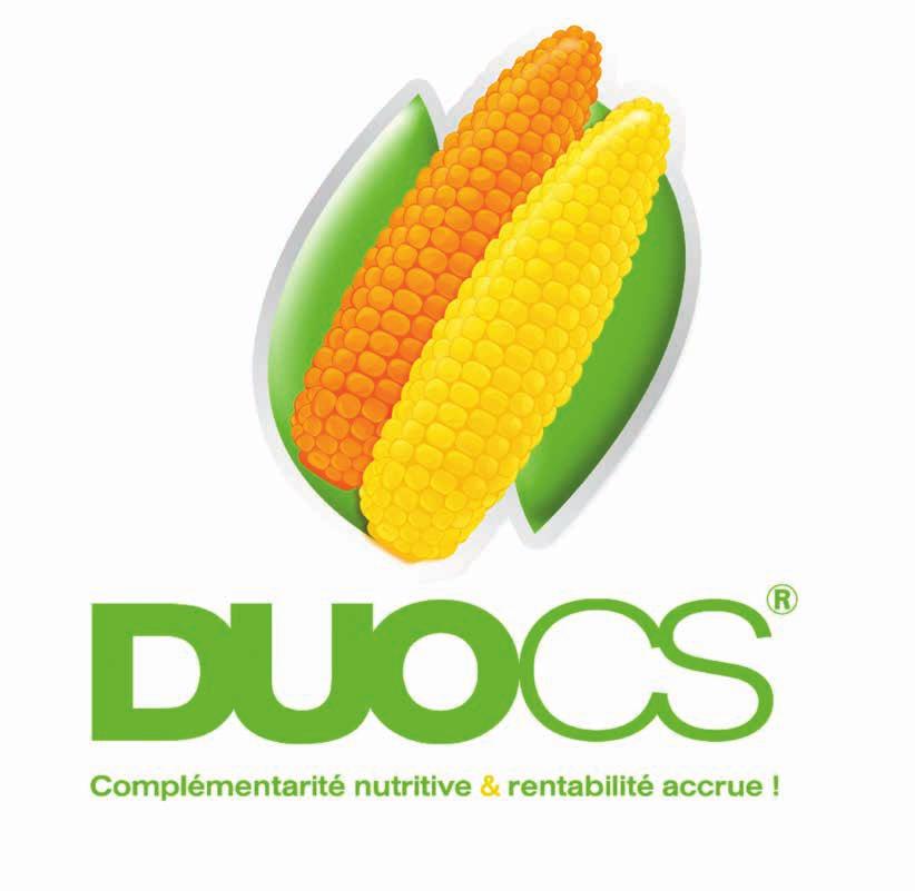DUOCS o dva