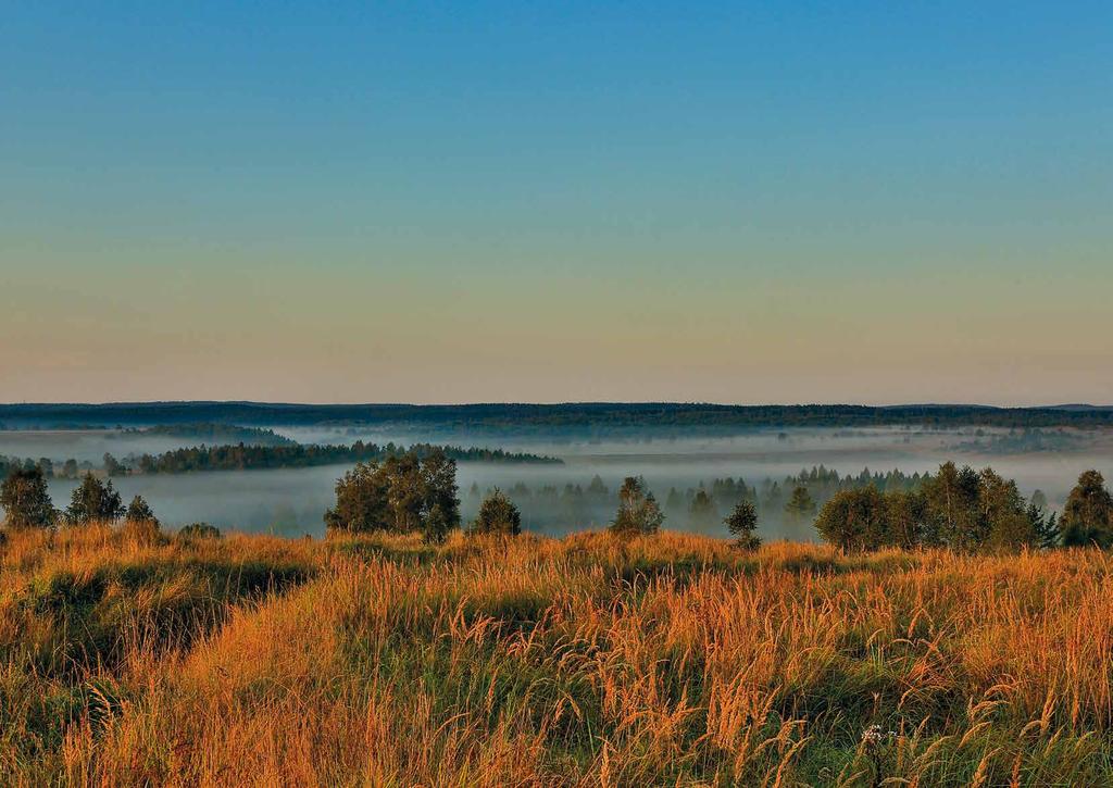 ROZVAHA