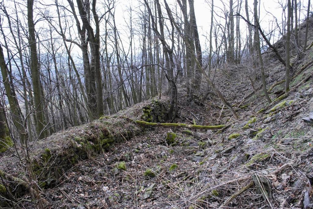 Obr. 31. Kalich. Pohled na vnější opevnění jádra hradu (foto M.