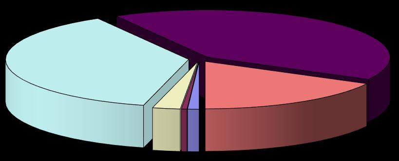 Normály - počet vzorků ve věkových skupinách 41% 3-5 6-10 38% 17% 11-20 21-40 41-60 60 a více 2% 1% 1%