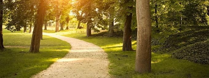 Na základě dendrologického průzkumu navrhuje provést probírku nezdravé a nehodnotné vzrostlé zeleně a náhradu nepůvodních druhů nehodících se do venkovského prostředí jako např. stříbrné smrky apod.