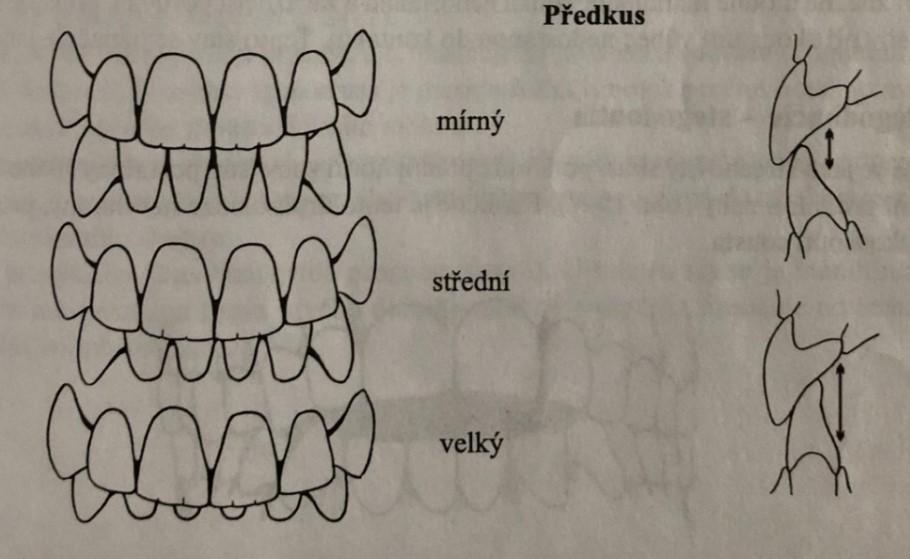 Zdroj obrázku: (Malínský, Malínská, & Michalíková,