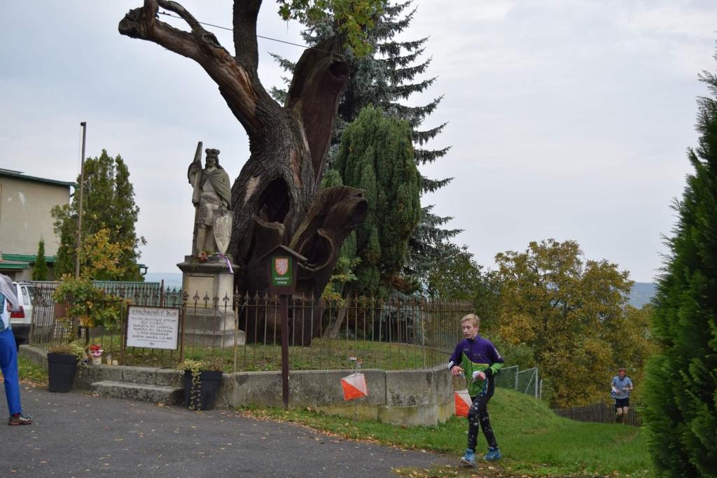 Odpolední závod měl start a cíl v parku na křižovatce silnic Švermova a J. A. Komenského. Závodu se zúčastnilo 487 registrovaných běžců a 63 příchozích.