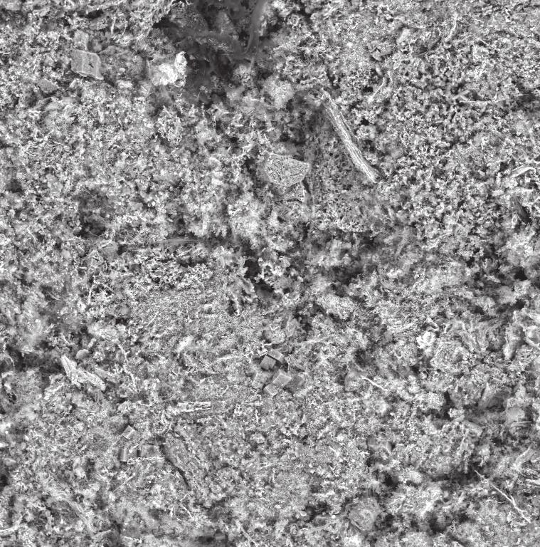 ARCHEOLOGIA TECHNICA / 28 / 2017 38 Obr. 2: Dřevěný popel neplavený (vlevo) a plavený (vpravo). Šířka záběru 0,5 mm. Foto autoři Obr. 3: Prvkové složení dřevěného popela Obr.