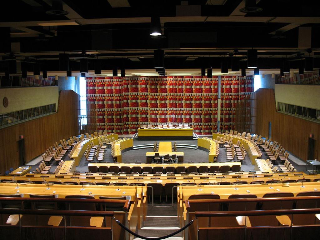 Ekonomická a sociální rada Ekonomické a sociální radě přísluší následující funkce a pravomoci: sloužit jako ústřední diskusní fórum k projednávání mezinárodních ekonomických a sociálních otázek a