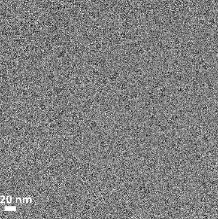 Rekonstrukce 3D v CryoEM Single Particle Analysis rychlé zmrazením