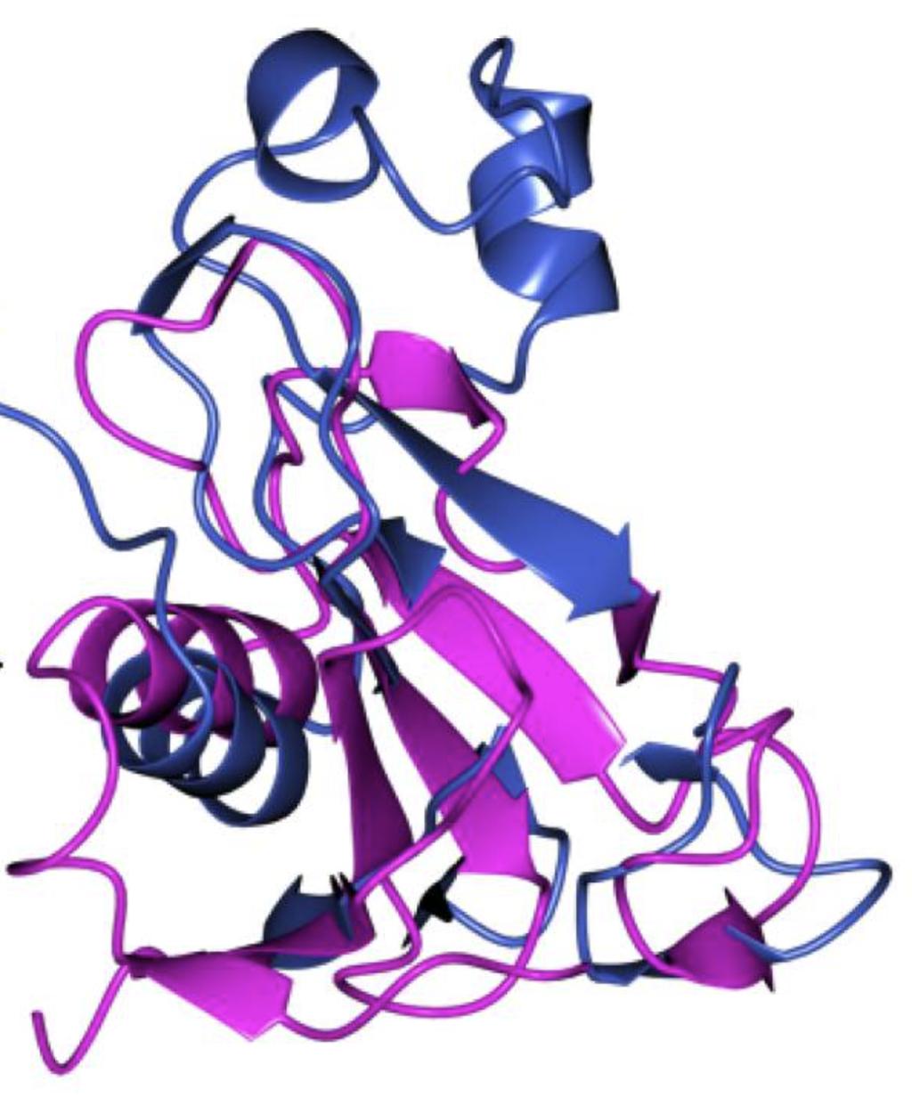 Podobnosti v PDB Databáze Protein Data Bank I 3D struktury proteinu + další informace I 140+ tis. záznamu, 500+ tis.