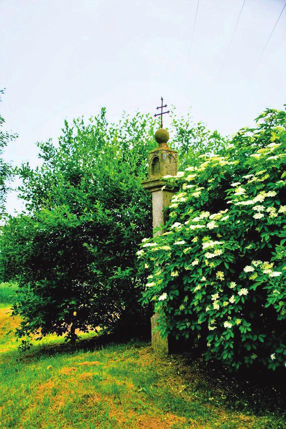 DUBEN 17. týden DUBEN / KVĚTEN 18.
