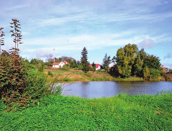 ČERVENEC 27. týden ČERVENEC 28.