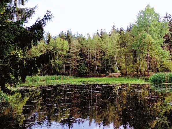 SRPEN / ZÁŘÍ 3. týden ZÁŘÍ 36.