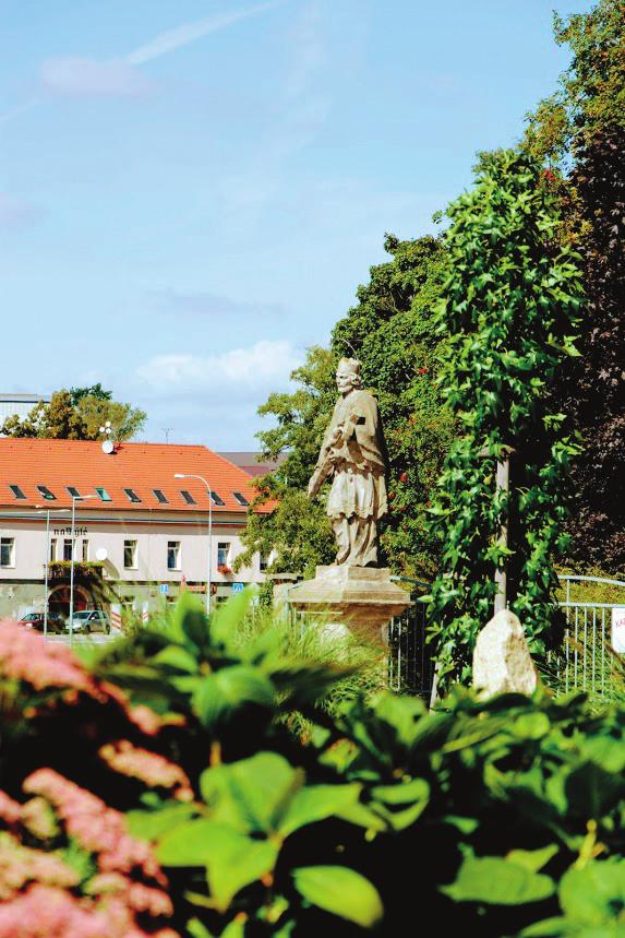 ZÁŘÍ 37. týden ZÁŘÍ 38.