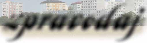 obyvatelé Třebčína, členové zastupitelstva obce a hosté sešli, aby na počest letos stého