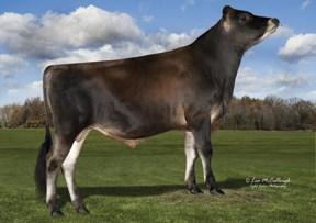 JIM 021 840M003011609974 VISIONARY x ACTION Narozen: 27.6.2013 JPI 168 NM$ 492 mléko lbs.