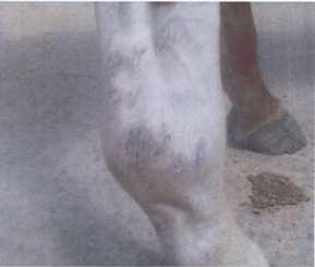 použit gel na bázi MDOC (Lot No.: JB 1690309, exp.:0310) 0.