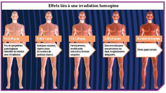 Ionizující záření přispívá k ionizaci molekul přítomných v živých organizmech. V závislosti na obdržené dávce a typu záření mohou být jejich účinky více čí méně zhoubné pro organismus.
