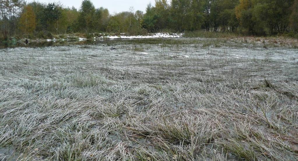 Příloha 1: Fotodokumentace Chráněnému