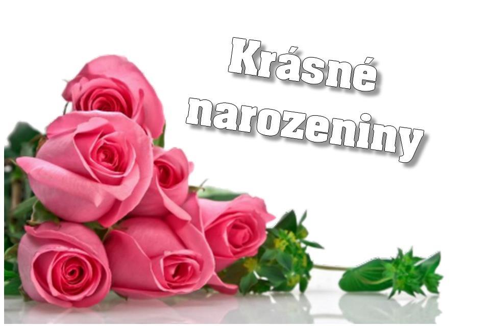pí. Srpová pí. Králová p. Lovas p. Bečvář pí.