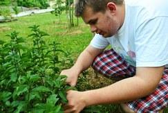 Tato podpora je poskytována s ohledem na konkrétní potřeby každého uživatele, zejména na úroveň schopností a dovedností.