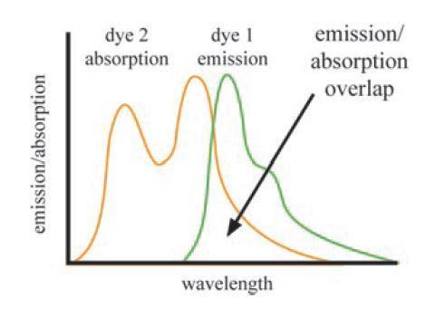 První princip metody [29] autoři nazvali duální emise laserem indukované fluorescence (DELIF).