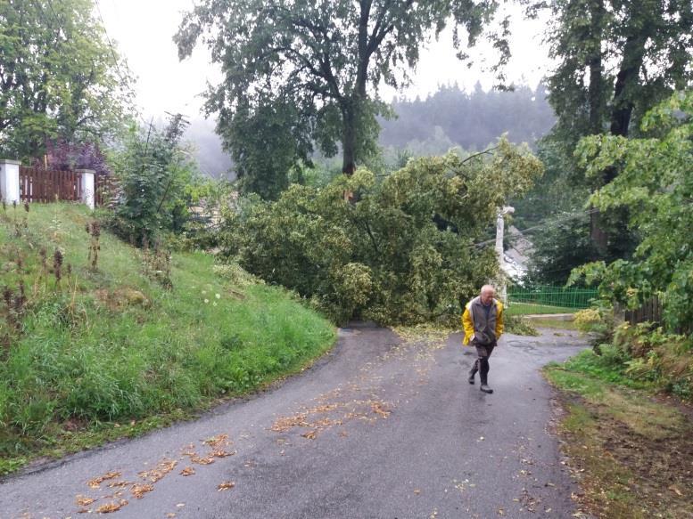 se ulomila velká větev z lípy vedle křížku a přetrhala elektrické