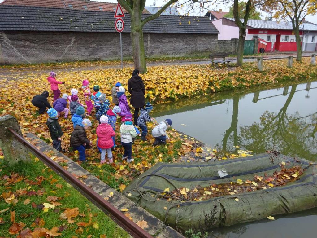 Nejdříve nás upoutalo veliké množství barevného listí všude kolem.