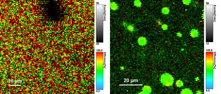 [%] 100 Efektivita Intenzita 90 80 70 60 50 25 µm 50 µm 175 µm Obr. 31: Výsledky vyhodnocení RET na přístroji MicroTime 200. 5.4.