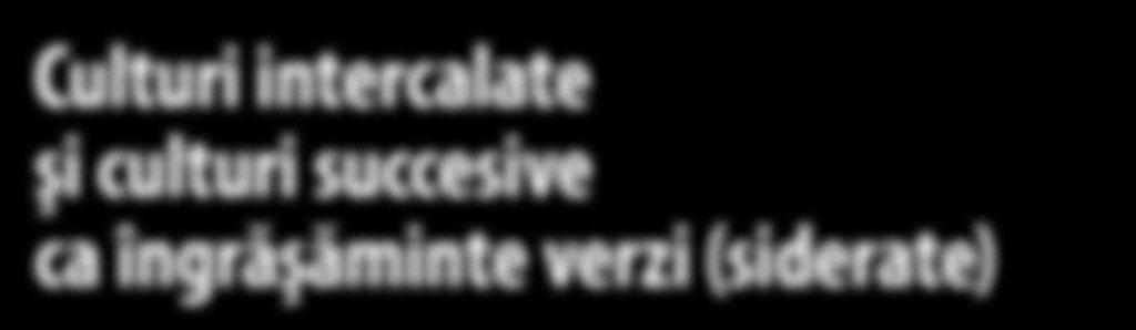 principală). Terenul trebuie să fie relativ curat de buruieni,deoarece după D vă daţi seama cum se desfăşoară circuitul substanţelor nutritive la ferma ecologică şi pe teren.
