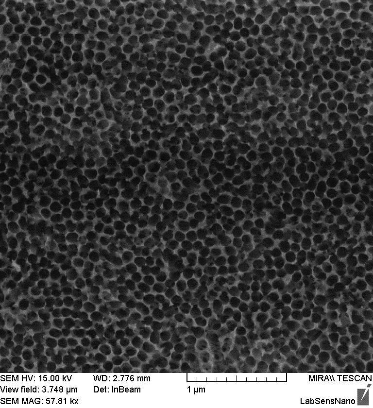 Obr. 16 Chemicky zvětšované póry při zvětšení na mikroskopu 57810 krát. Vytvoření nanodrátku probíhá galvanostatickým způsobem v roztoku K[Au(CN) 6 ]. Depozice trvá 15 sekund.