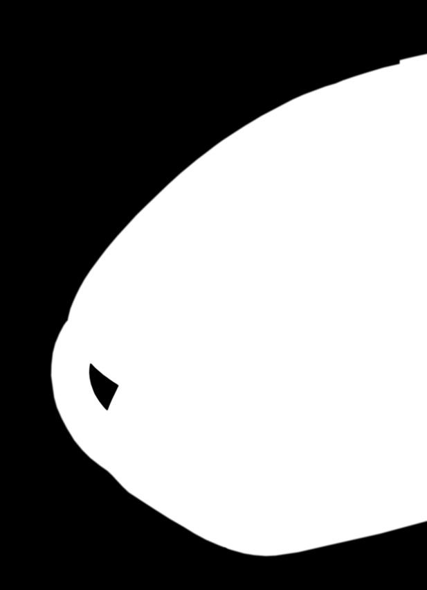 6 1 8 A1
