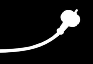 7 A6 6