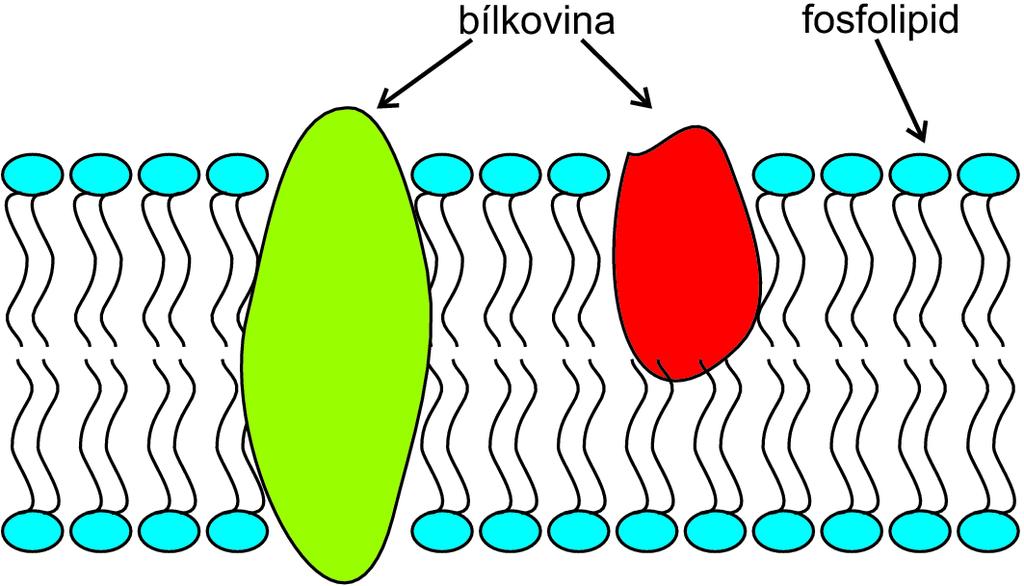 Biologické