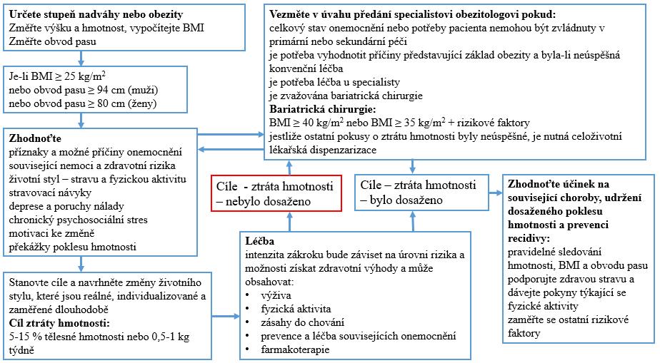 Obrázek 2 Schéma diagnostiky a managementu nadváhy a obezity (Hlúbik, Svačina, Sucharda, Fried & Býma, 2014, upraveno) Léčba Léčba nadváhy a obezity zahrnuje šest postupů dietní opatření, úpravu
