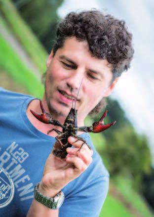 Výsledkem této aktivity je popis velmi efektivního technologického způsobu odchovu larev a juvenilních ryb candáta obecného do stadia rychleného plůdku v rybnících s následným převodem ryb do