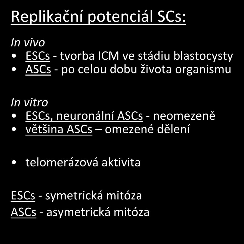 Replikační potenciál SCs: In vivo ESCs - tvorba ICM ve stádiu blastocysty ASCs - po celou dobu života organismu In vitro ESCs,