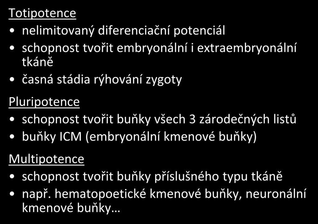 Totipotence nelimitovaný diferenciační potenciál schopnost tvořit embryonální i extraembryonální tkáně časná stádia rýhování zygoty Pluripotence schopnost tvořit buňky všech 3