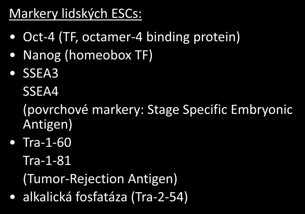 Markery lidských ESCs: Oct-4 (TF, octamer-4 binding protein) Nanog (homeobox TF) SSEA3 SSEA4 (povrchové